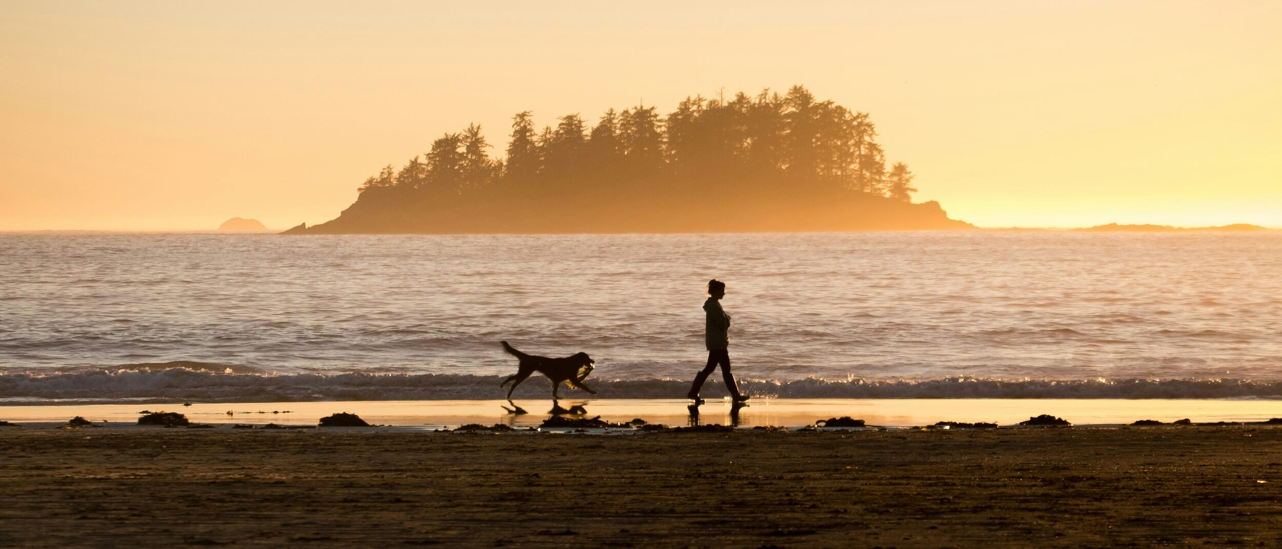 Rule 62 Therapy Beach scene